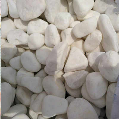 2022臺(tái)州園藝白卵石 產(chǎn)品