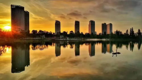 臺州刮起 物業(yè)革命 風(fēng),期待未來 理想家 生活